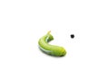 Giant green worm on white background Royalty Free Stock Photo