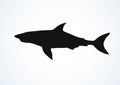 Shark. Vector drawing Royalty Free Stock Photo