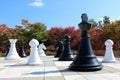 Giant ground chess Royalty Free Stock Photo