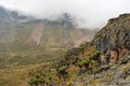 Giant groundsels against a mountain background, Mount Kenya