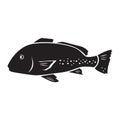 Giant grouper fish. Vector illustration decorative design