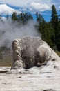 Giant Gyeser at Yellowstone National Park Royalty Free Stock Photo