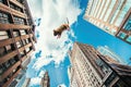 Giant Hamster Parkour: a cityscape transformed into an obstacle course Generative AI