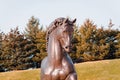 Giant horse statue at the Frederik Meijer Gardens in Grand Rapids Michigan