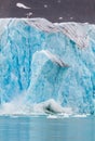 Giant iceberg calving from the Glacial wall Royalty Free Stock Photo