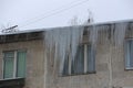 Giant icicles hanging from the roof