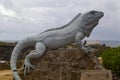 giant iguana statue on isla mujeres, cancun, mexico Royalty Free Stock Photo