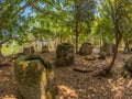 Giant Iron Age stone jars in wooded glade. Xiangkhoang Plateau, Royalty Free Stock Photo