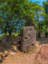 Giant Iron Age stone jars in wooded glade. Xiangkhoang Plateau,