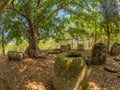 Giant Iron Age stone jars in wooded glade. Xiangkhoang Plateau, Royalty Free Stock Photo