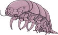 Giant Isopod Cartoon Color Illustration Royalty Free Stock Photo