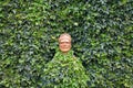 Giant ivy Royalty Free Stock Photo