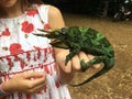 Giant Jackson Chameleon held by young girl Royalty Free Stock Photo