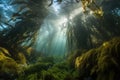 giant kelp forest with schools of fish swimming among the foliage Royalty Free Stock Photo