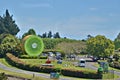 Giant Kiwifruit Royalty Free Stock Photo
