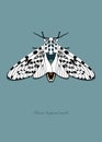 Giant Leopard Moth. Vector illustration. The font has been converted to curves.