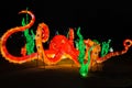 Giant Lighted Octopus at the Chinese Lantern Festival Atlanta