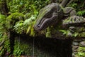 Giant Lizard in Sacred Monkey Forest Sanctuary, Ubud, Bali Royalty Free Stock Photo