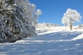 Giant Mountains / Karkonosze, Karpacz winter Royalty Free Stock Photo