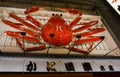 Giant moving crab billboard in Dotombori, Osaka, Japan