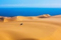 Giant moving sand dunes Royalty Free Stock Photo