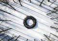 Giant Nest Structure Surrounded by Radial Tree Shadows on Fresh Winter Snow. Royalty Free Stock Photo