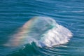 Giant Ocean Wave with Rainbow in Spray Royalty Free Stock Photo