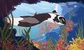 A giant oceanic manta ray floats into underwater cave with a tropical coral reef with algae and colorful tropical fish