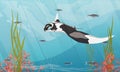 A giant oceanic manta ray swims on the open sea just off the bottom with long green algae and red corals. Manta rays Mobula birost