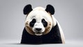 Giant Panda Bear Portrait on Gray Background Studio Shot Royalty Free Stock Photo