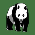 The giant panda Chinese great