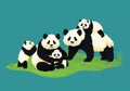 Giant panda family. Two adult pandas with three baby pandas. Chinese bears. Royalty Free Stock Photo