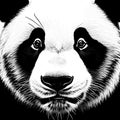 Giant panda portrait