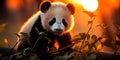 giant pandas playing in a bamboo forest in China. Generative AI Royalty Free Stock Photo