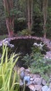 Giant pond in Gwinnett co. Ga