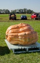 Giant pumpkin competition