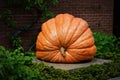 Giant Pumpkin Statue