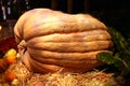 Giant pumpkin on straw Royalty Free Stock Photo