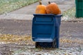 Giant pumpkins sitting in a trash dumpster waiting for garbage pickup at the curbside