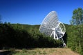 Giant radio telescope in woods