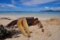 Giant red land crab on the beach, La Digue, Seychelles