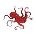 Giant red octopus on a white background. Sea monster kraken in cartoon style