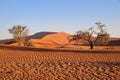 giant red sand dunes in Sossusvlei Namib Desert - Namib-Naukluft National Park, Namibia, Africa Royalty Free Stock Photo