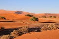 giant red sand dunes in Sossusvlei Namib Desert - Namib-Naukluft National Park, Namibia, Africa Royalty Free Stock Photo