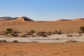 giant red sand dunes in Sossusvlei Namib Desert - Namib-Naukluft National Park, Namibia, Africa Royalty Free Stock Photo