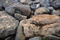 Giant rocks