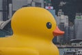 A giant Rubber Duck brings joy, smiles wherever it floats, June 18 2023