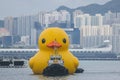 A giant Rubber Duck brings joy, smiles wherever it floats, June 18 2023