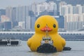 A giant Rubber Duck brings joy, smiles wherever it floats, June 18 2023