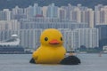 A giant Rubber Duck brings joy, smiles wherever it floats, June 18 2023